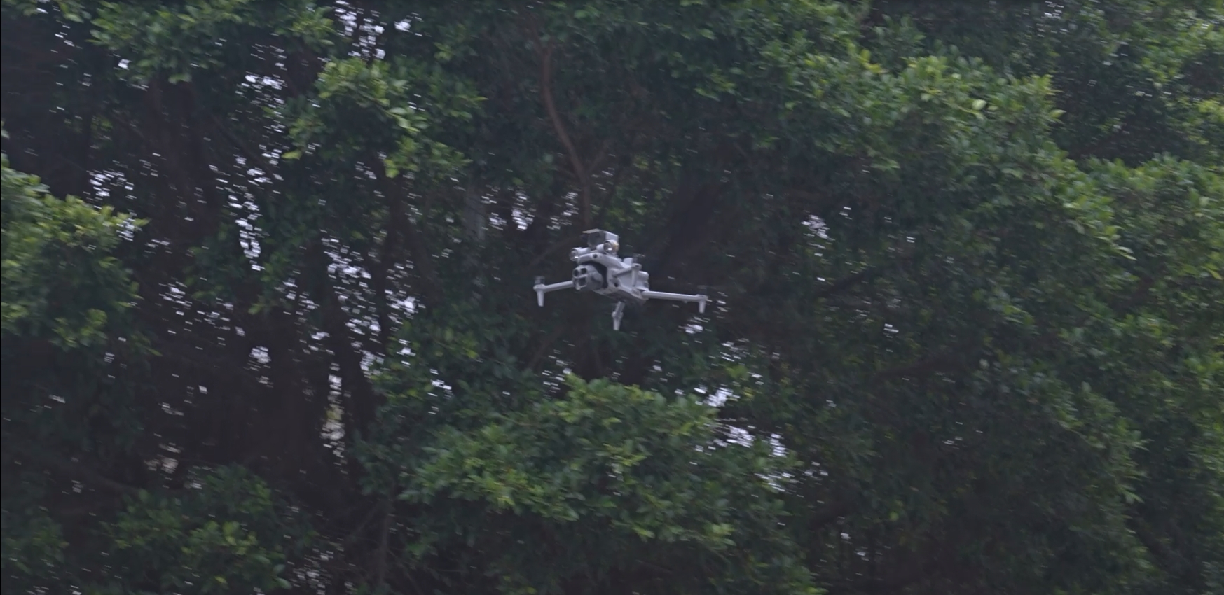 模式四 (2).png 模式四 (2).png